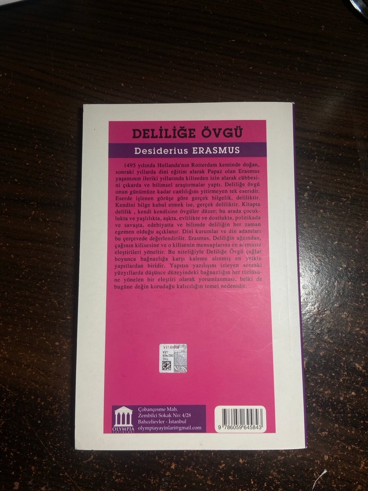 Deliliğe Övgü - Desiderius Erasmus - Görsel 2