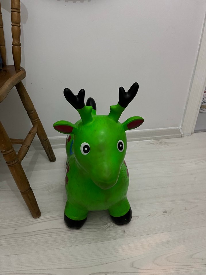 Renkli Yeşil Şişme Oyun Atı - Görsel 2