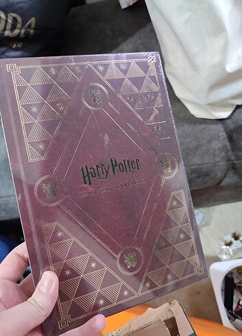 Harry Potter ajanda 