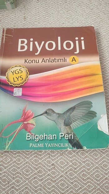 Sınava hazirlik
