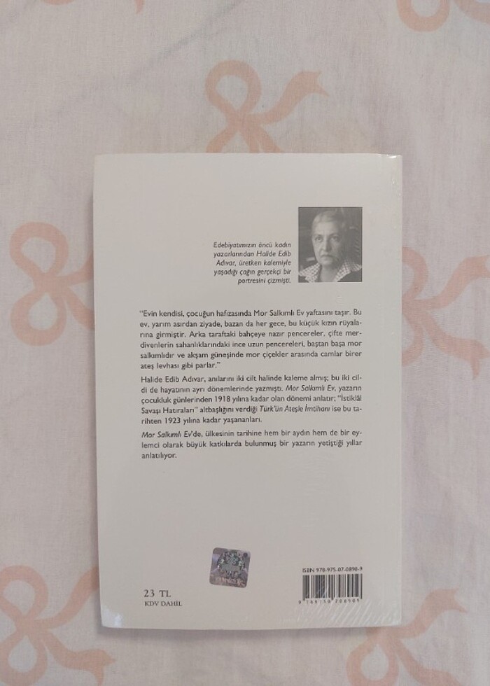 Mor Salkımlı Ev - Halide Edib Adıvar - Görsel 2