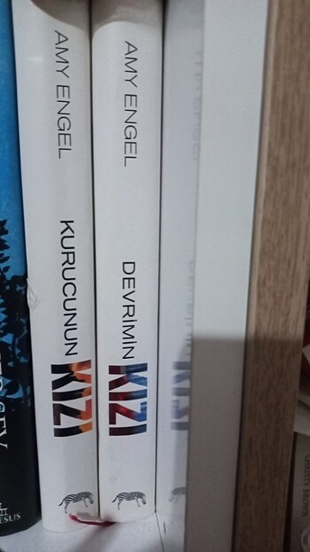 Kurucunun kızı serisi