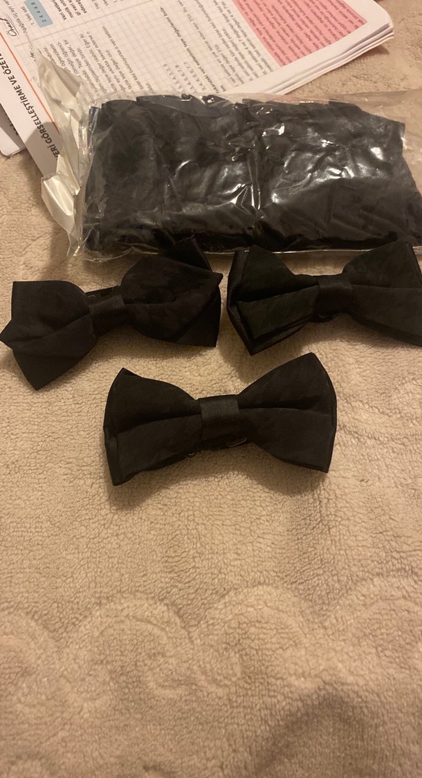 Toplu Klasik Erkek Papyon - Görsel 2