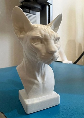 Beyaz Kedi Büstü Figürin - Görsel 2