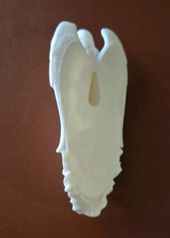 Beyaz Kanatlı Melek Biblo 15cm - Görsel 3