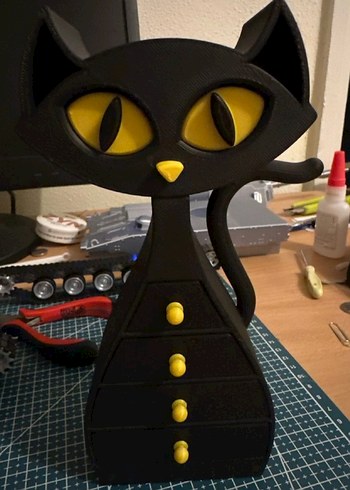 Siyah Kedi Şeklinde Sarı Detaylı Takı Kutusu - Görsel 3