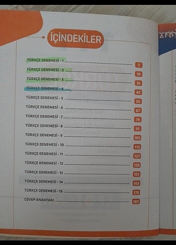  Apotemi türkçe denemesi 