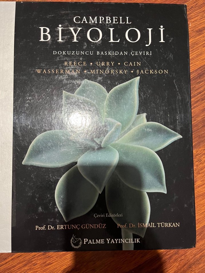 Toplu kitap - Görsel 2