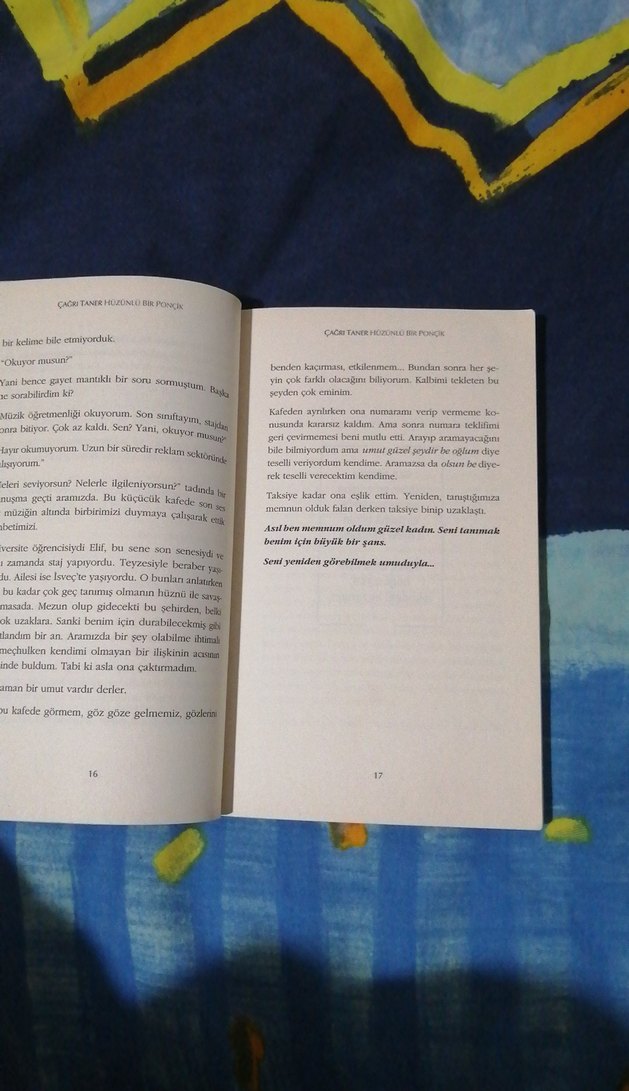 Hüzünlü Bir Ponçik - Çağrı Taner - Görsel 2