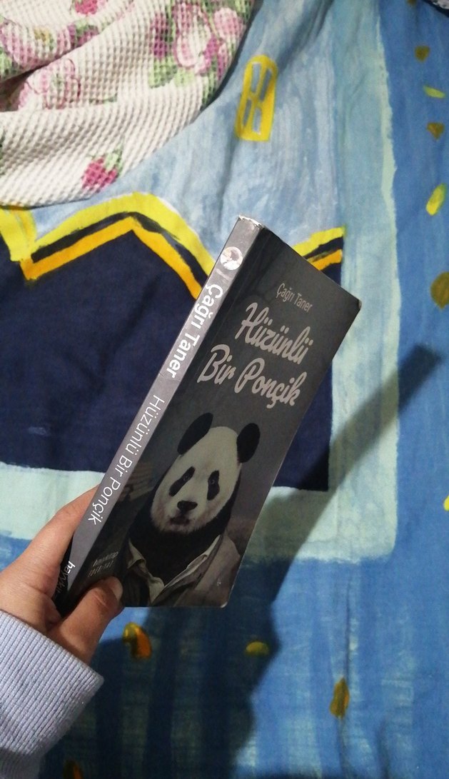 Hüzünlü Bir Ponçik - Çağrı Taner - Görsel 3