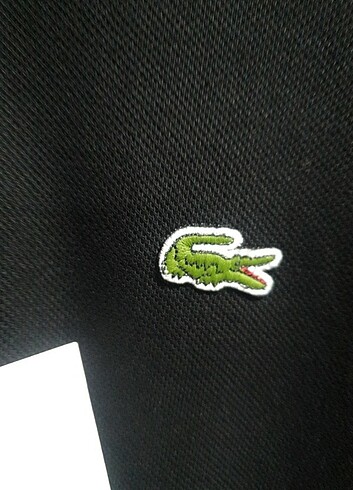 Lacoste ORJİNAL LACOSTE POLO YAKA TŞORT PAMUKLU TŞORT. 