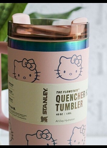 Beden Hello Kitty termos kupa