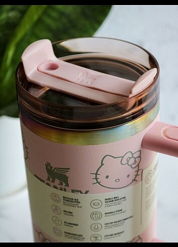Beden pembe Renk Hello Kitty termos kupa