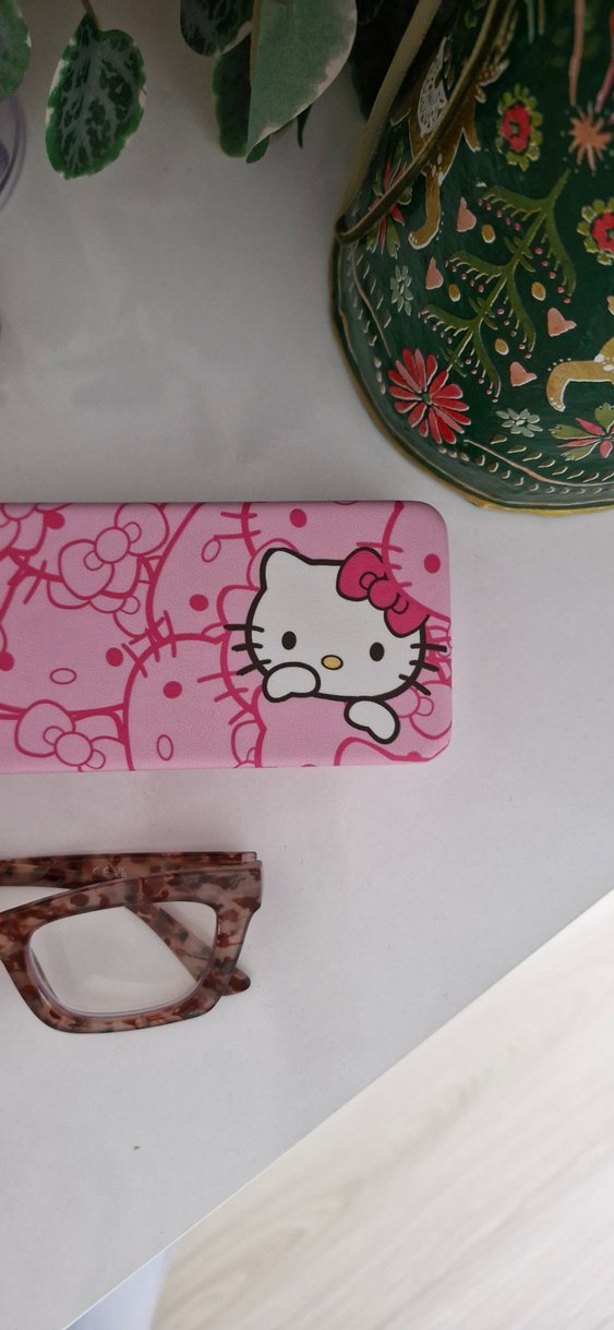 Hello Kitty gözlük kabı - Görsel 3
