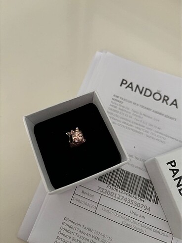 Pandora orijinal charm