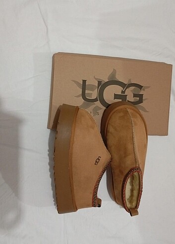 Ugg tazz