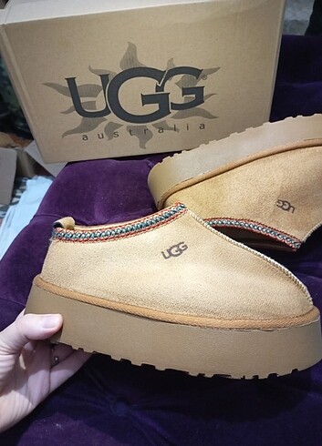 Ugg tazz