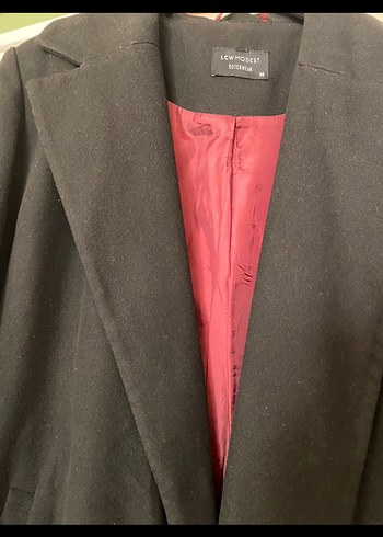 Uzun Siyah Kaban - Görsel 5