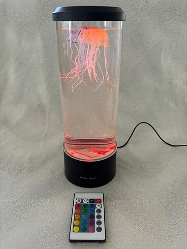 Masa akvaryumu - Görsel 3