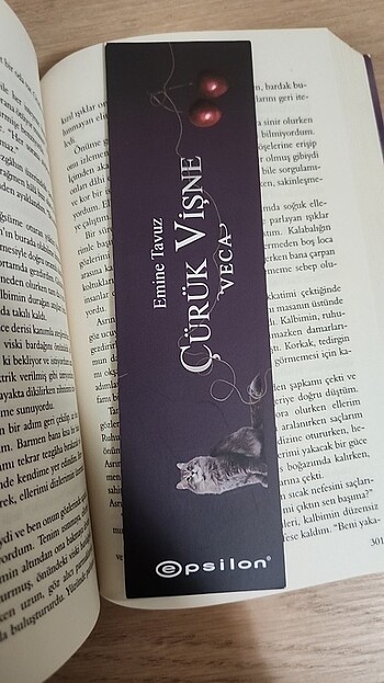  Beden Çürük Vişne 1