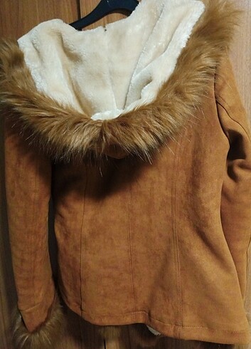 Robin kürklü kaban - Görsel 6