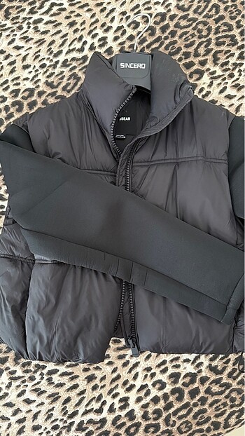 Pull and Bear Pull bear mont