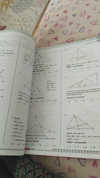 Beden Renk Geometri test kitabı