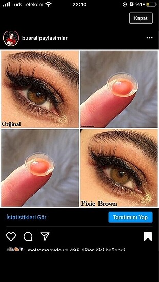 Labella Pixie Brown