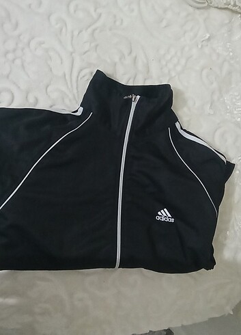 Adidas Adidas