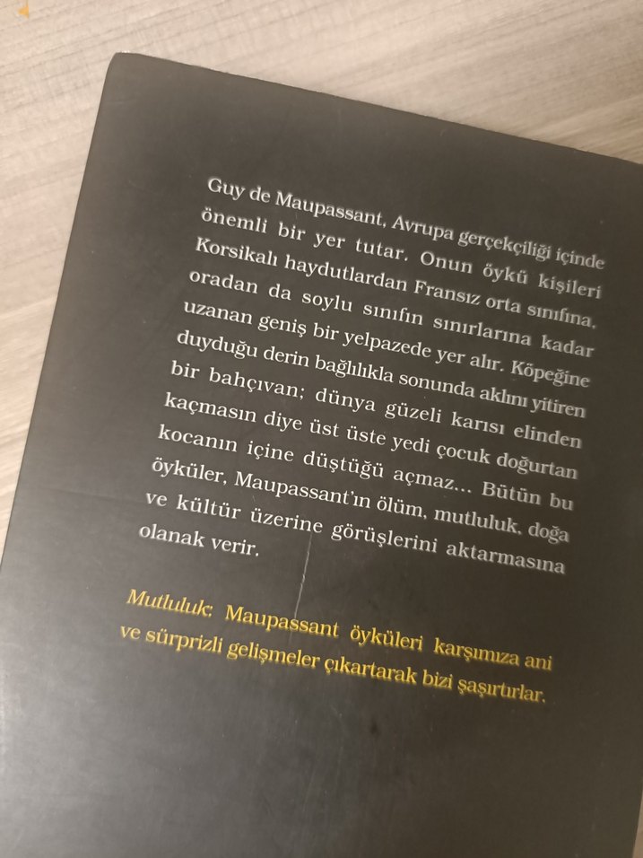 Guy de Maupassant - Mutluluk Romanı - Görsel 2
