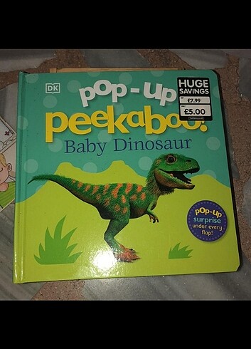 Baby dinosour ingilizce kitap 3 boyutlu 