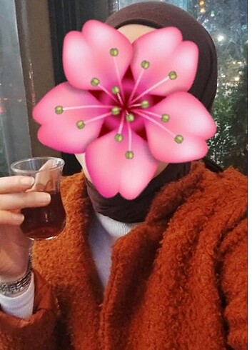 Diğer Kaban