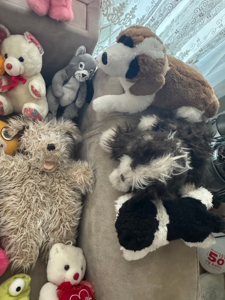 Renkli Peluş Oyuncak Koleksiyonu - Görsel 4