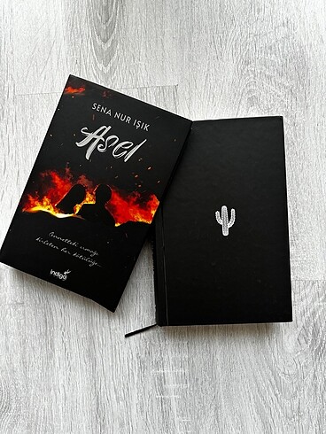  Asel-Sena nur ışık
