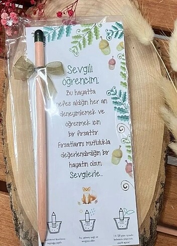 Tohumlu kalemler  - Görsel 2