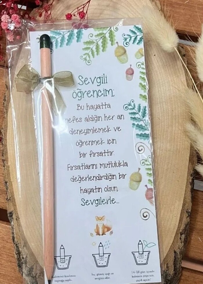 Tohumlu kalemler  - Görsel 2