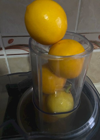 Paslanmaz Çelik Arçelik Meyve Sıkacağı - Görsel 8