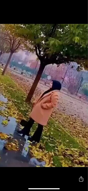 46 Beden Kaban