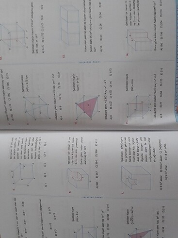  Beden Renk 10.sınıf matematik soru bankası