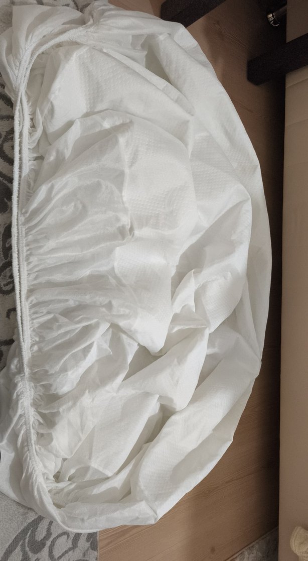 alez tertemiz - Görsel 2