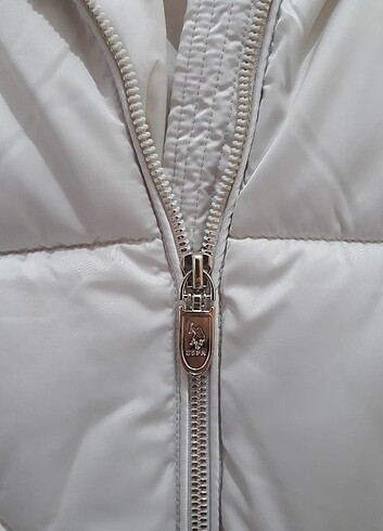 m Beden U.S polo mont