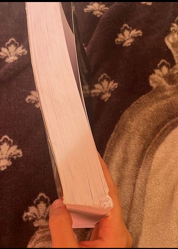 Thomas Kalkülüs Cilt 1 - Görsel 2