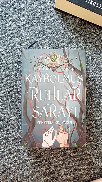 Kaybolmuş ruhlar sarayı 2.kitap