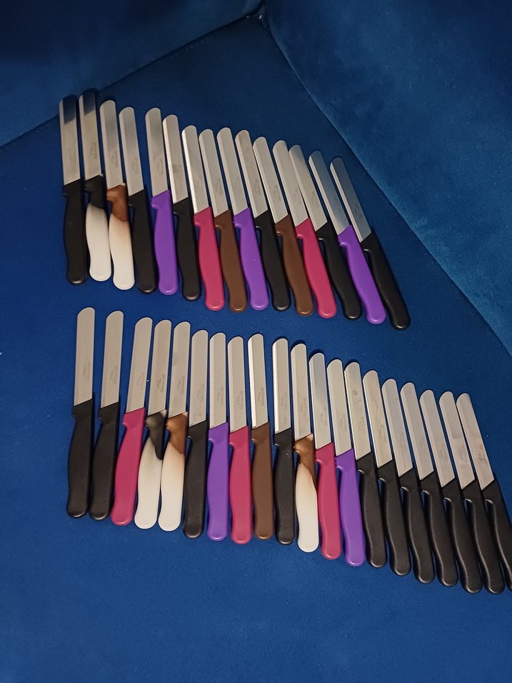 iNGEN Mikro Sebze Bıçağı Mor Saplı - Görsel 3