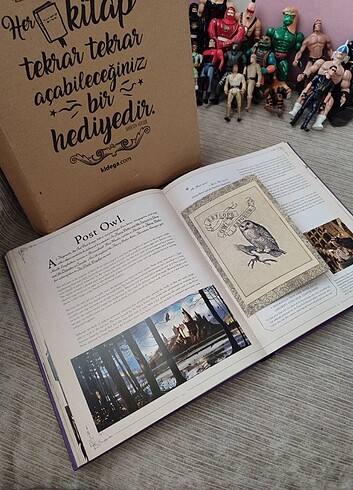 harry potter creature vault ansiklopedi