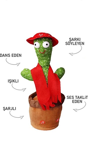 Kaktüs peloş