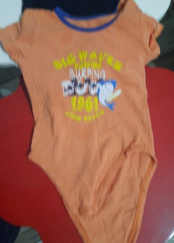 Zibinlar - Görsel 2