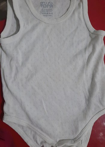 Zıbınlar - Görsel 2