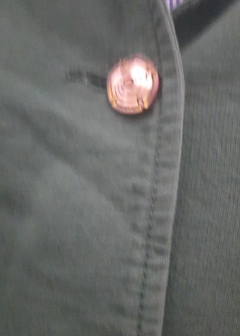 Yeşil Düğmeli Kadın Blazer Ceket - Görsel 7