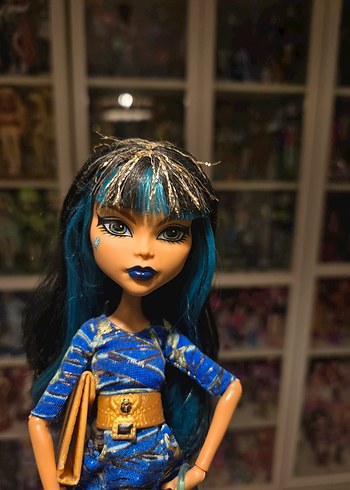Beden cleo de nile picture day monster high